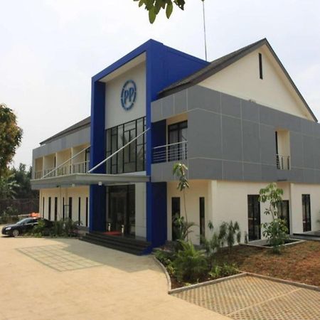 Pp University سيساروا المظهر الخارجي الصورة