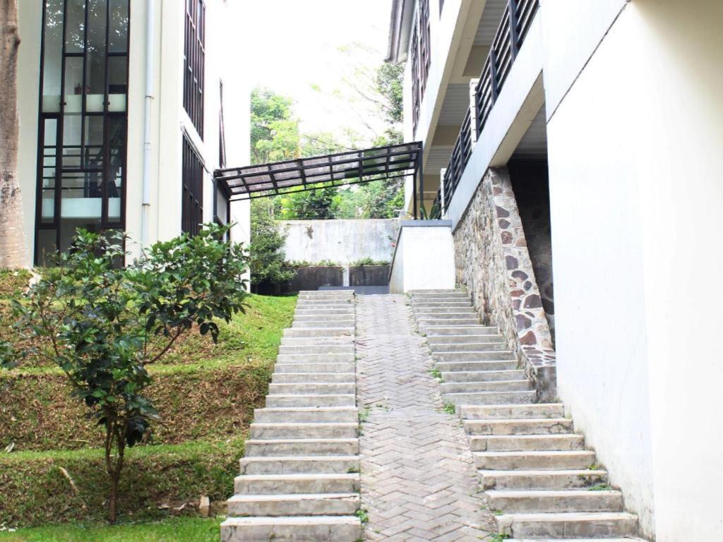 Pp University سيساروا المظهر الخارجي الصورة