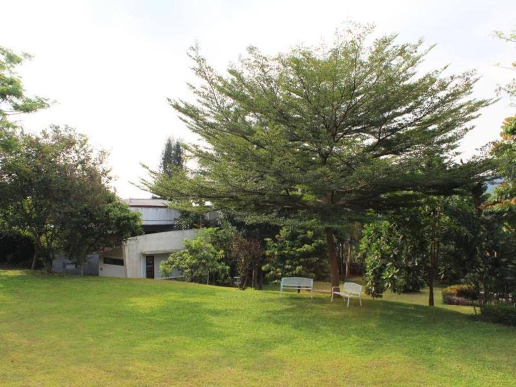 Pp University سيساروا المظهر الخارجي الصورة